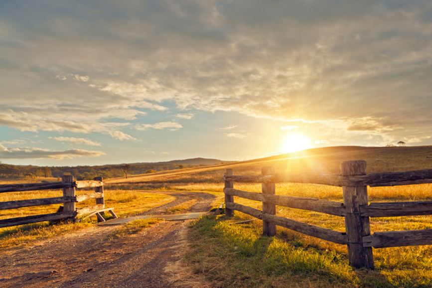 Farm & Ranch Sunset